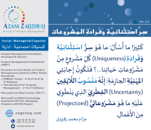 سر استثنائية وفرادة المشروعات