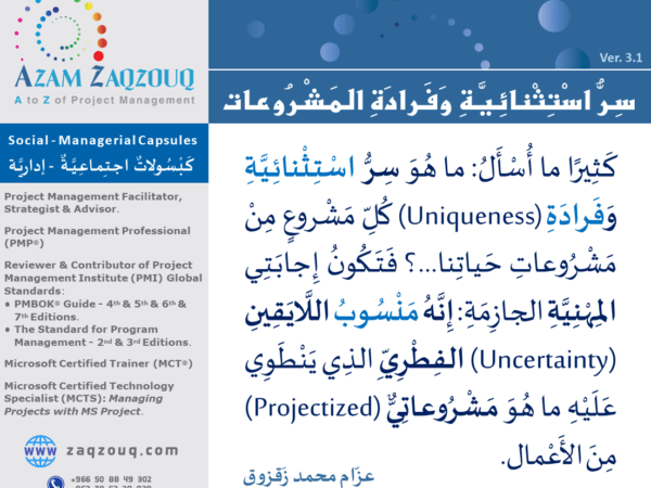 سر استثنائية وفرادة المشروعات