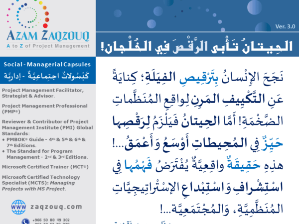 الحيتان تأبى الرقص في الخلجان!